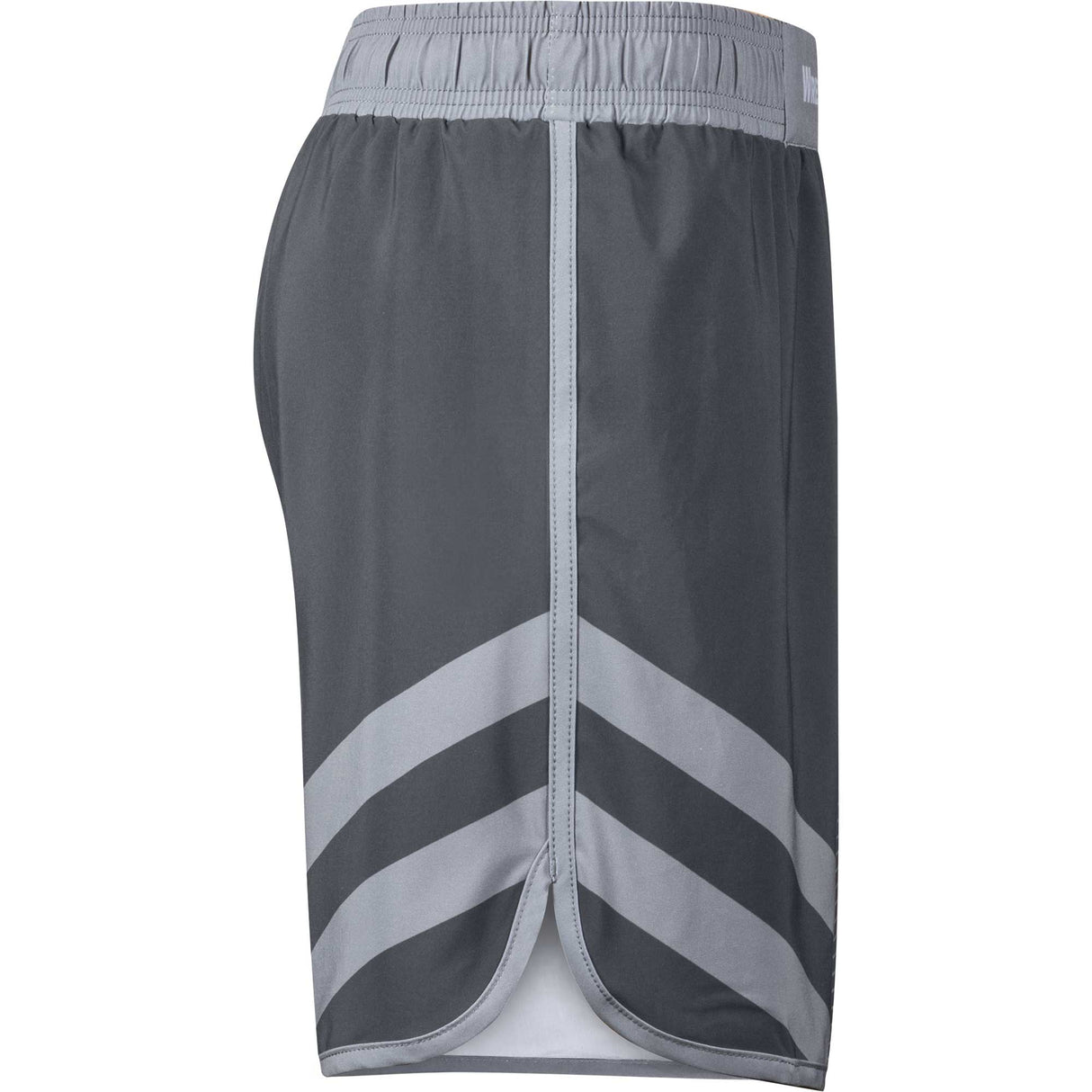 WrestlingMart Two Pointer Fight Shorts