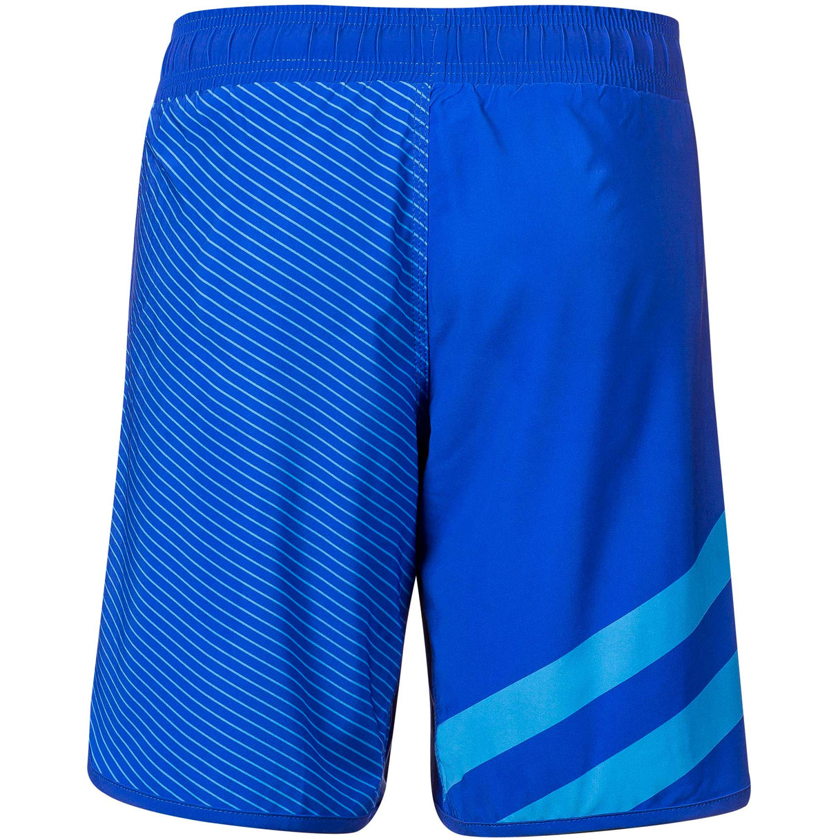 WrestlingMart Two Pointer Fight Shorts
