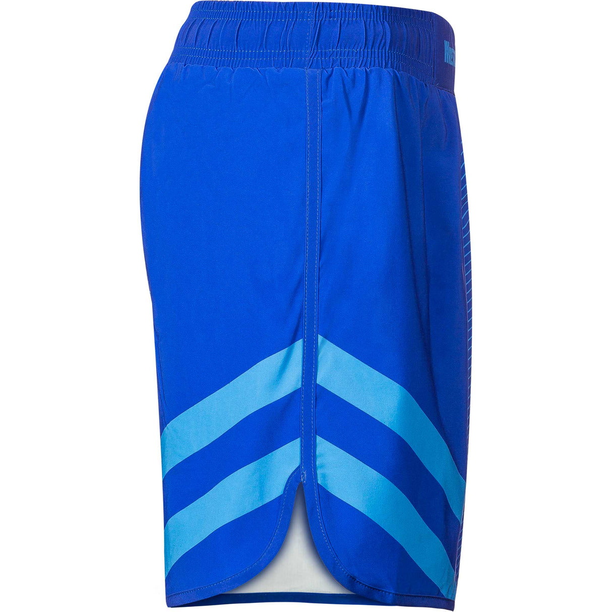 WrestlingMart Two Pointer Fight Shorts