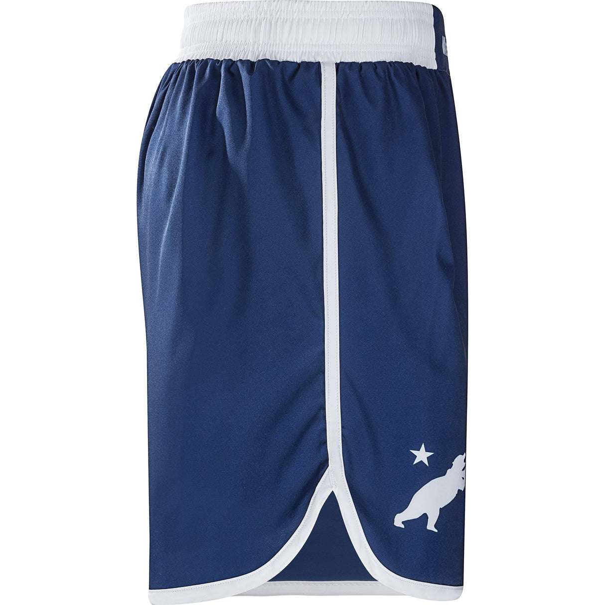 WrestlingMart Wrestling Bears Fight Shorts