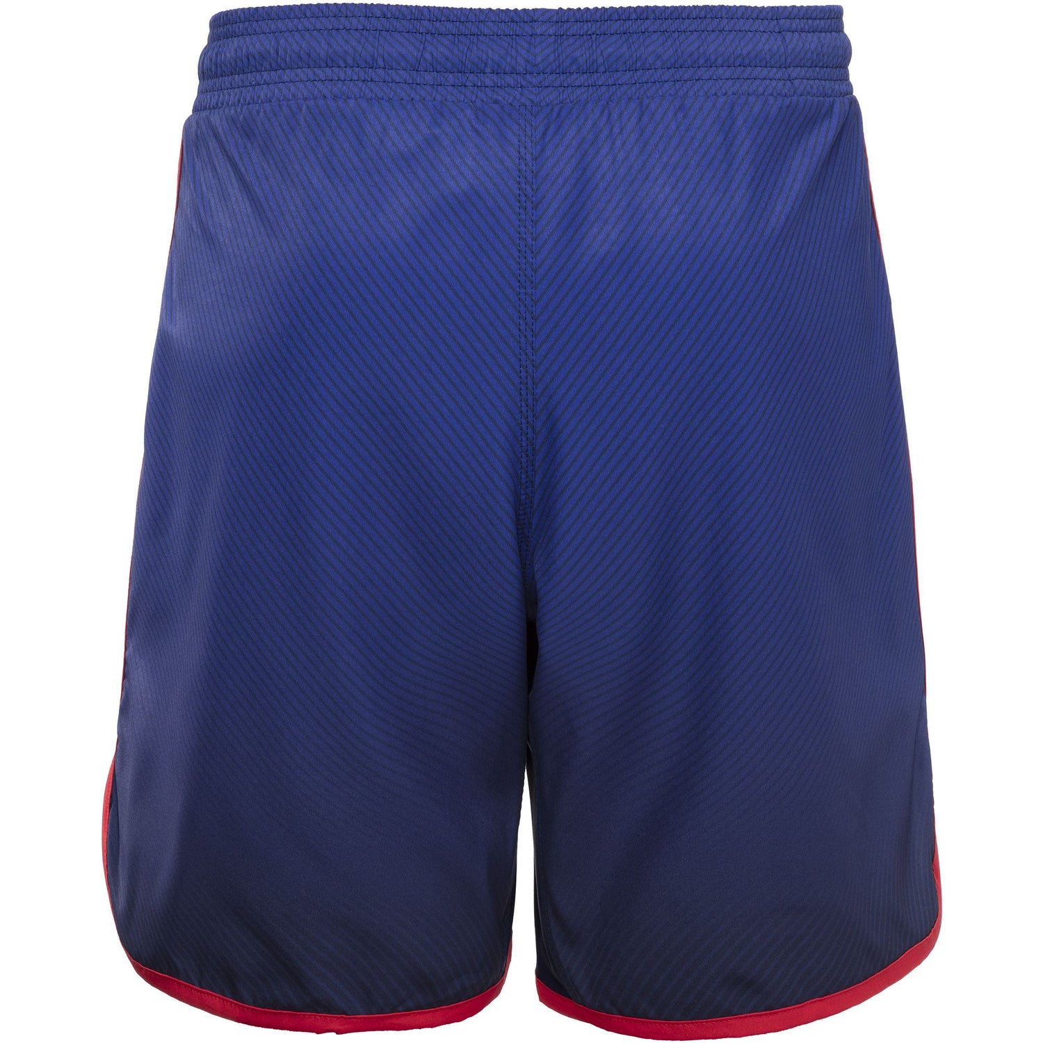 WrestlingMart Youth USA FADE 2 Fight Shorts