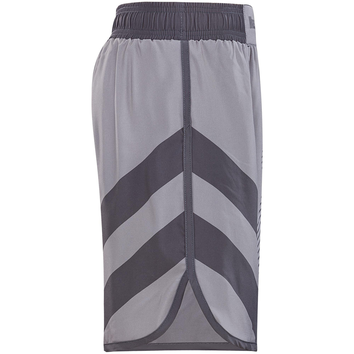 WrestlingMart Two Pointer Fight Shorts