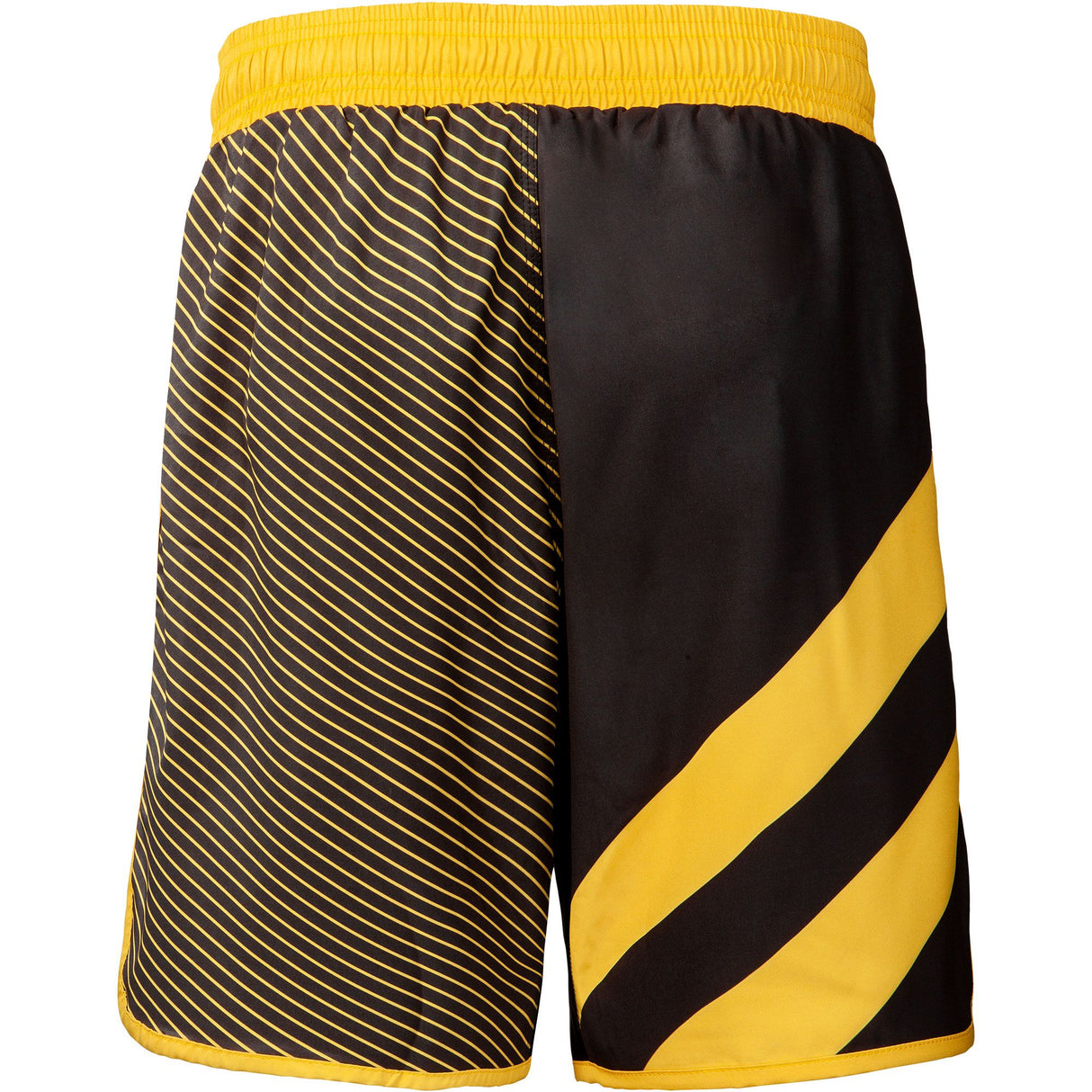 WrestlingMart Two Pointer Fight Shorts