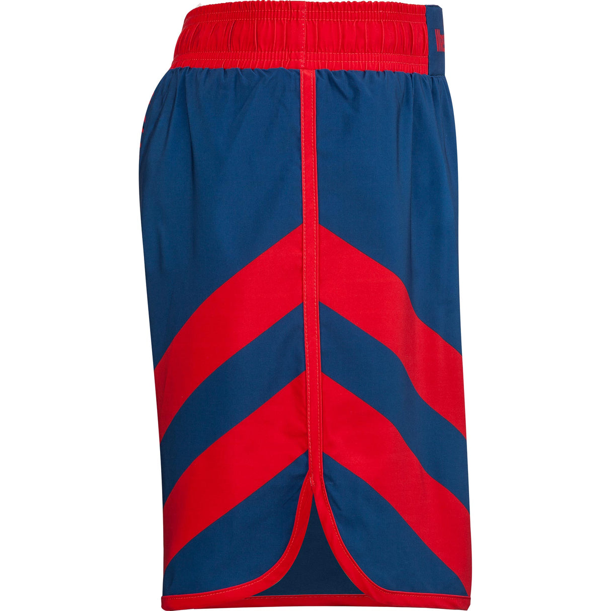 WrestlingMart Two Pointer Fight Shorts