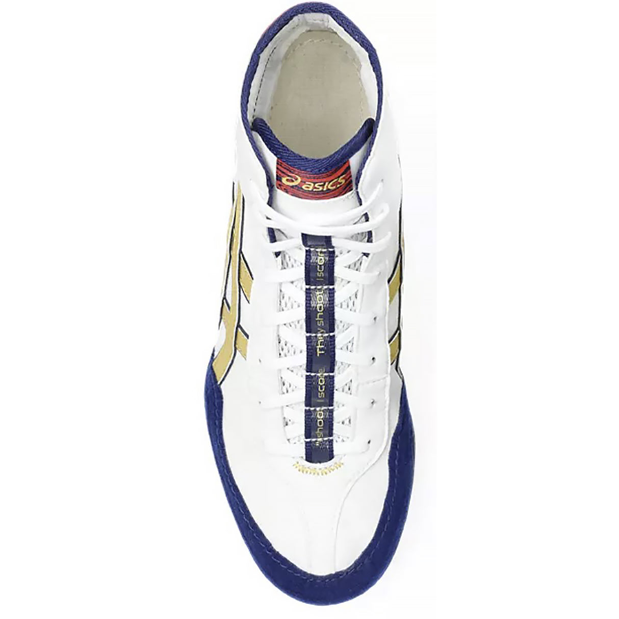 ASICS Dan Gable EVO 3 Wrestling Shoes