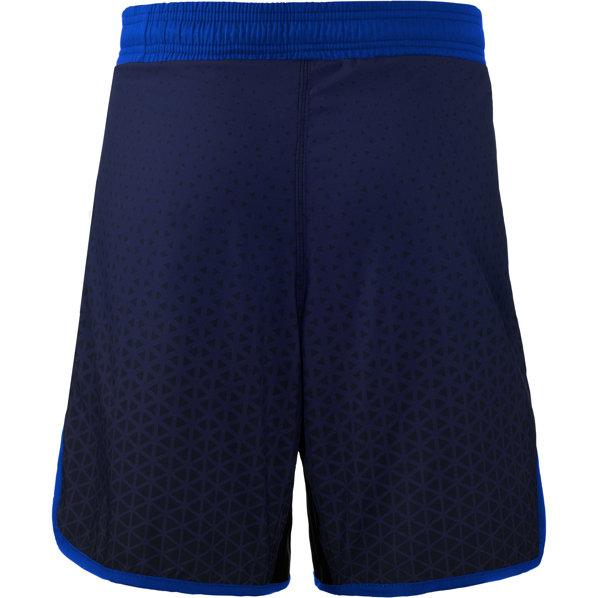 WrestlingMart Steadfast Fight Shorts
