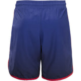 WrestlingMart USA Fade 2 Fight Shorts